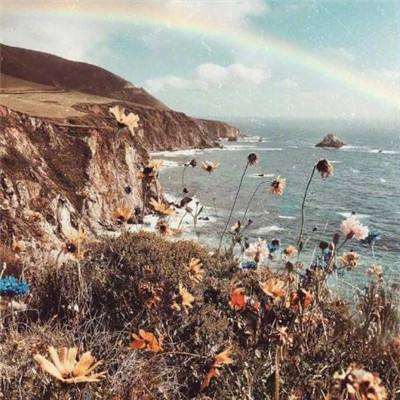 梦幻山海战手机版